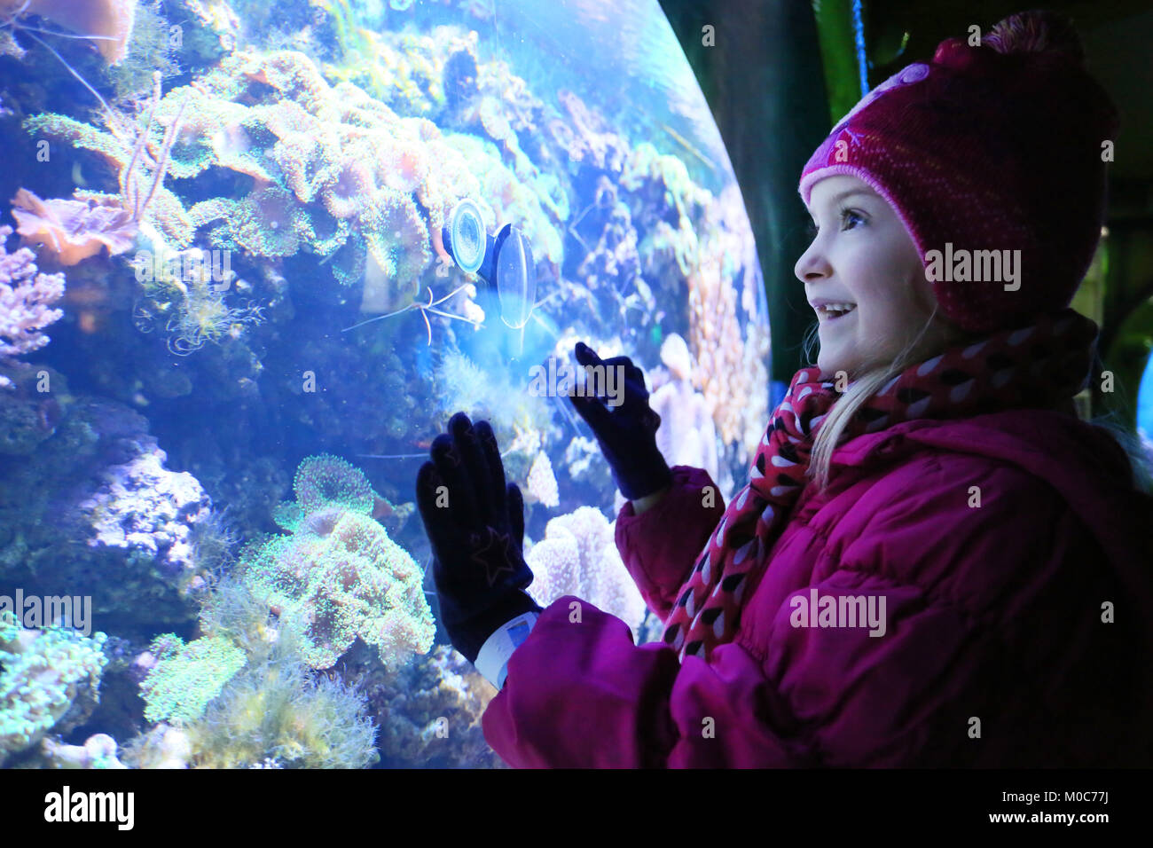 Süße blonde Mädchen lernen über das Leben im Meer in einem Aquarium in Großbritannien Stockfoto