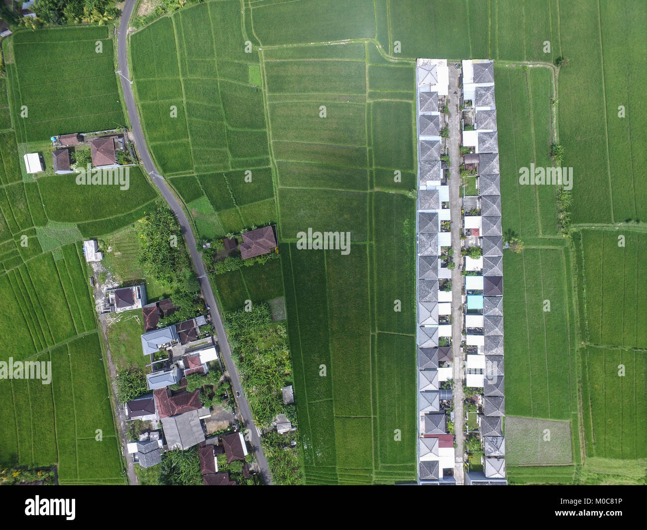 Moderne Gehäuse in der Mitte der produktiven und grüne Reisfelder. In Bongan Dorf in Karuizawa. Stockfoto
