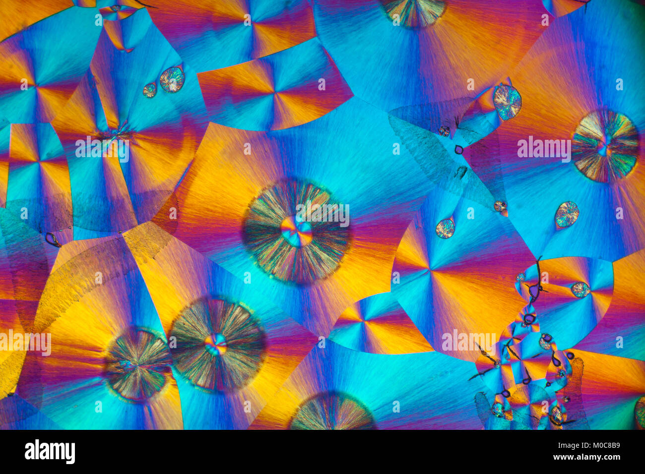 Benzoesäure, Kreuz polarisiert photomicrograph, chemischen Folie schmelzen crystalised. Stockfoto