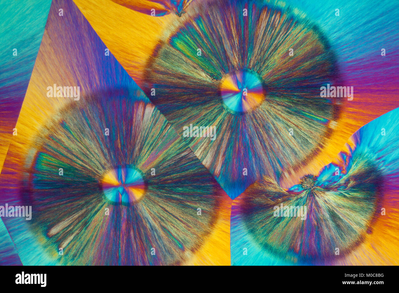 Benzoesäure, Kreuz polarisiert photomicrograph, chemischen Folie schmelzen crystalised. Stockfoto