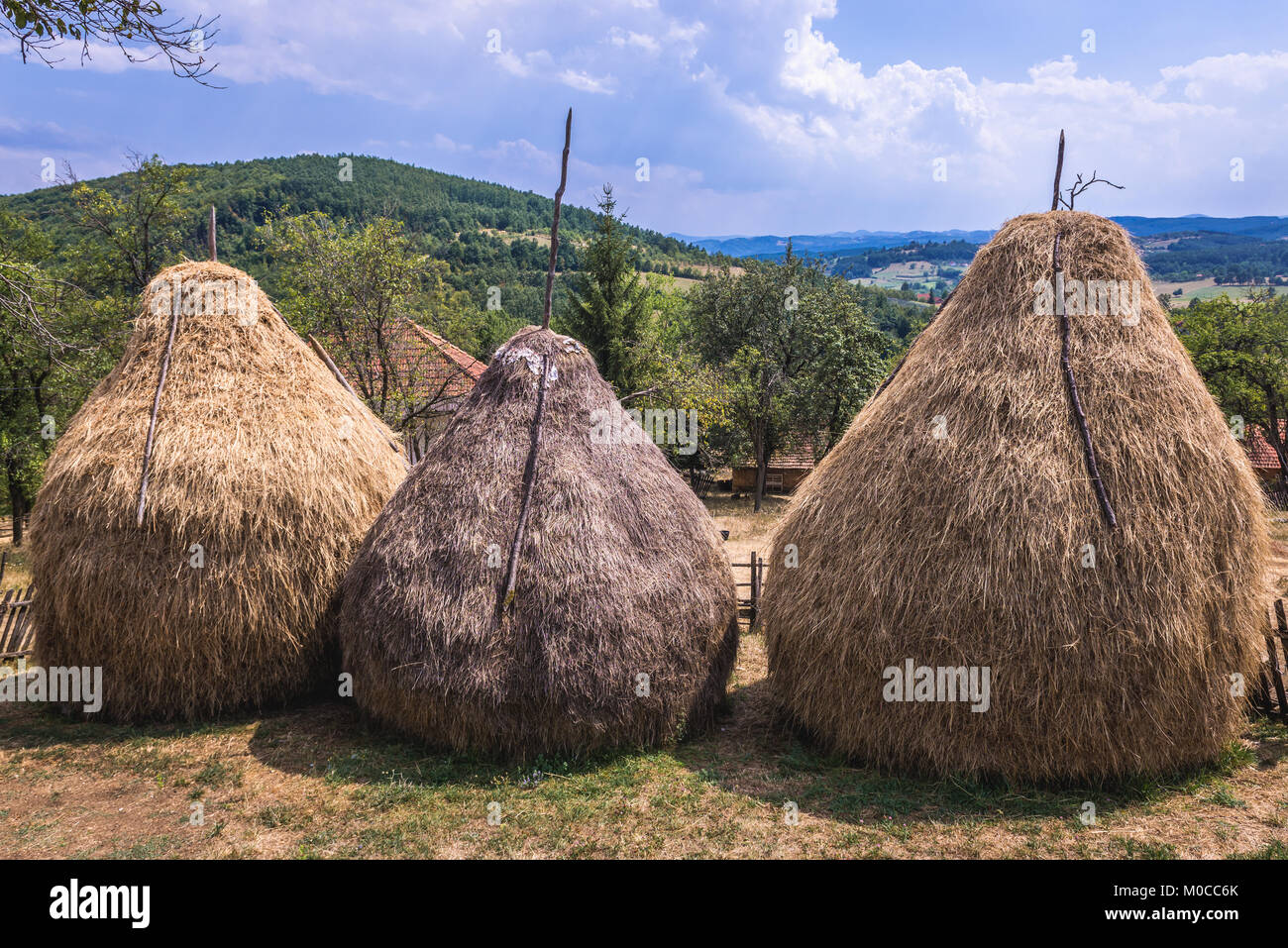 Heuballen in Zlatibor bergige Region im westlichen Teil von Serbien Stockfoto