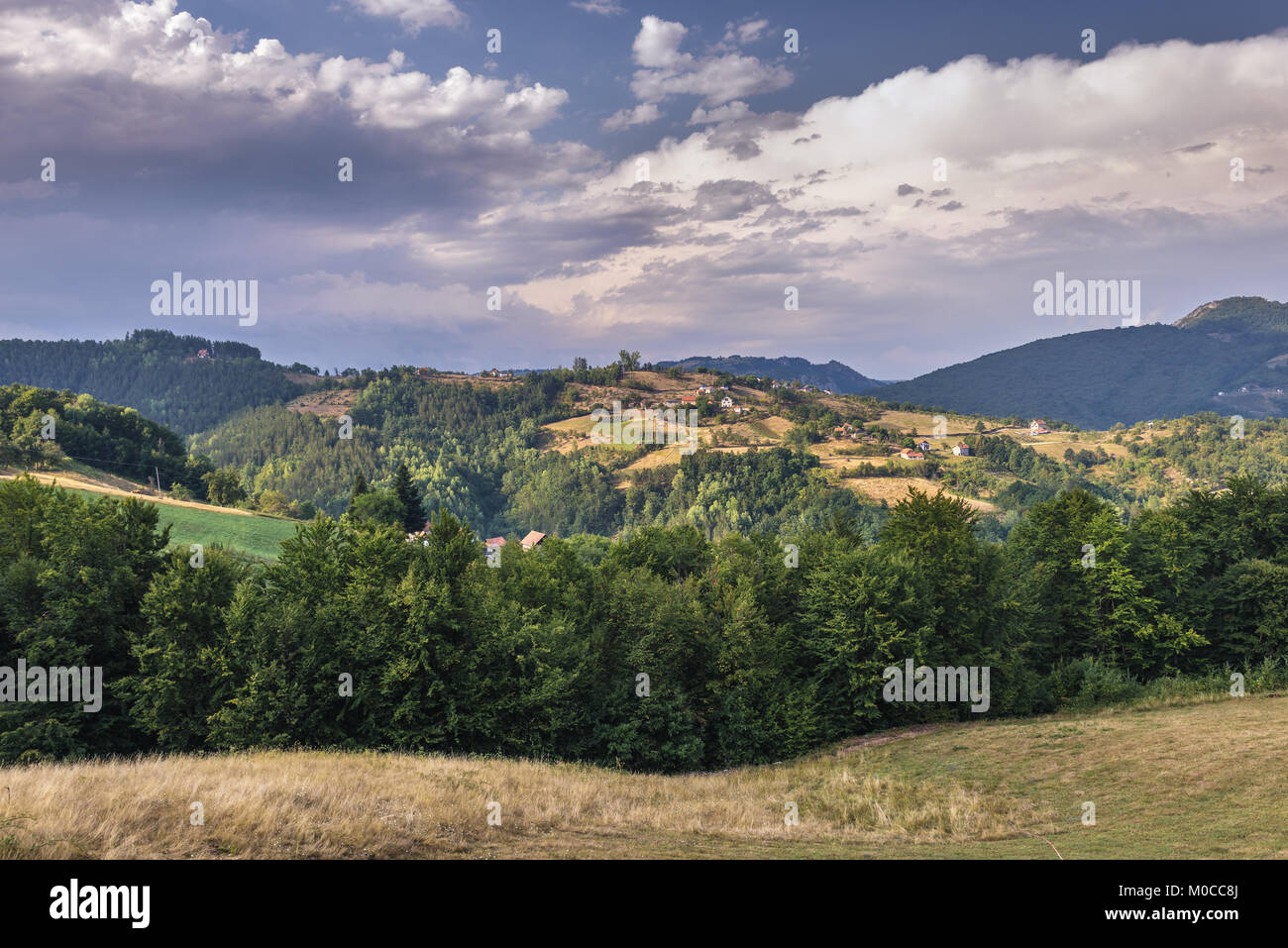 Arilje municipality Fotos und Bildmaterial in hoher Auflösung Alamy