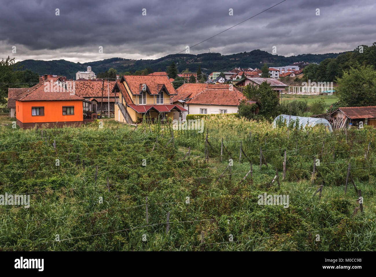 Häuser in Arilje Stadt im Bezirk des südwestlichen Serbien Zlatibor Stockfotografie Alamy