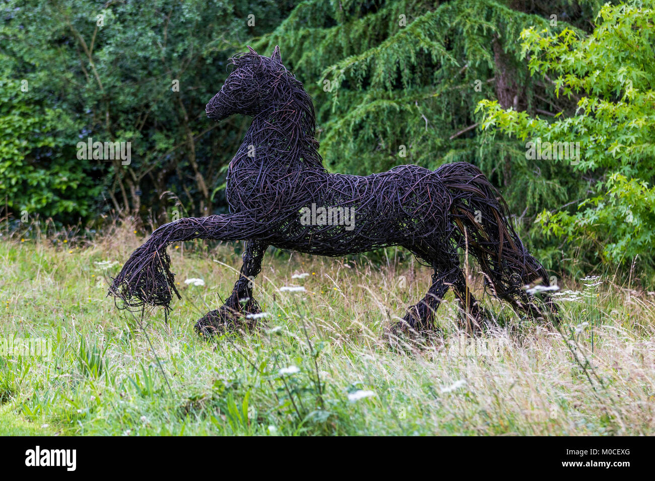 Willow Weben Stockfoto