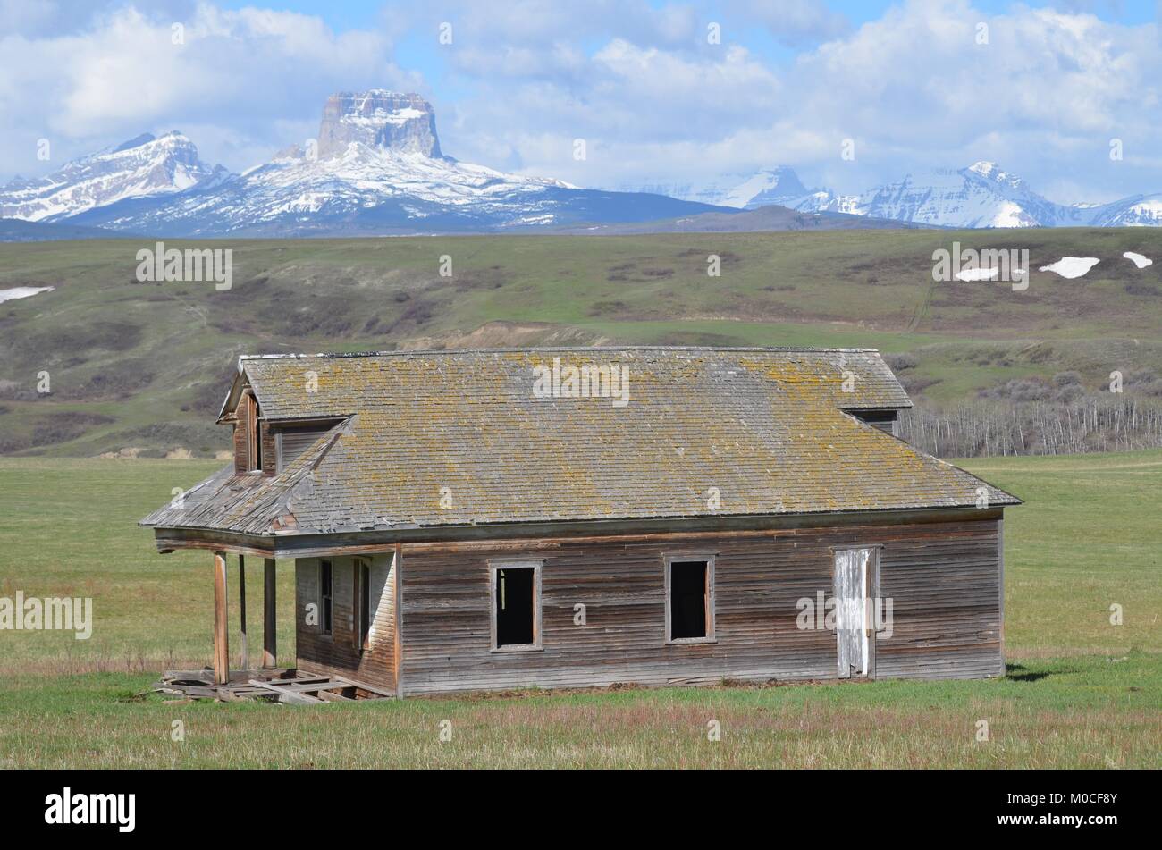 Eine alte verlassene Homestead sitzt ruhig in einem Feld mit Chief Mountain in der Ferne Stockfoto