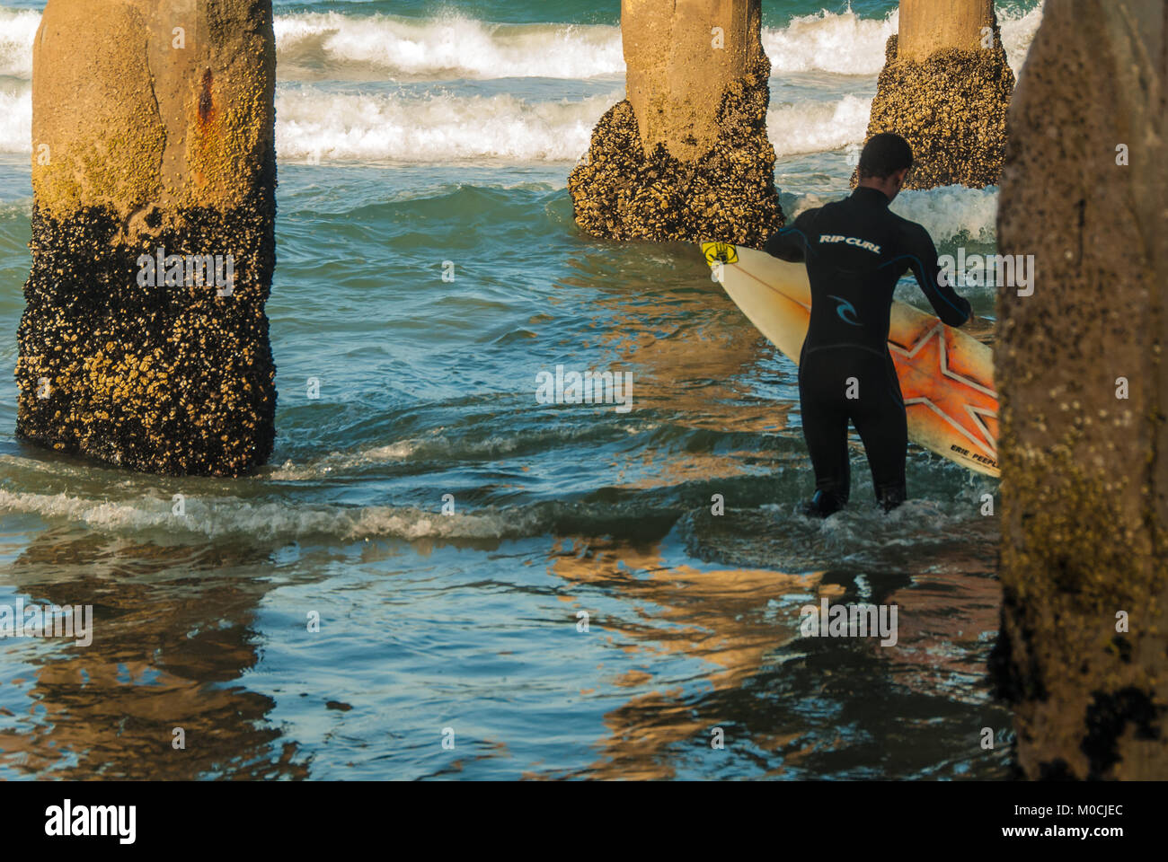 Ein Surfer bereitet unter dem Manhattan Beach Pier für einen frühen Morgen Surf Session in Manhattan Beach, Kalifornien, zu paddeln. (USA) Stockfoto