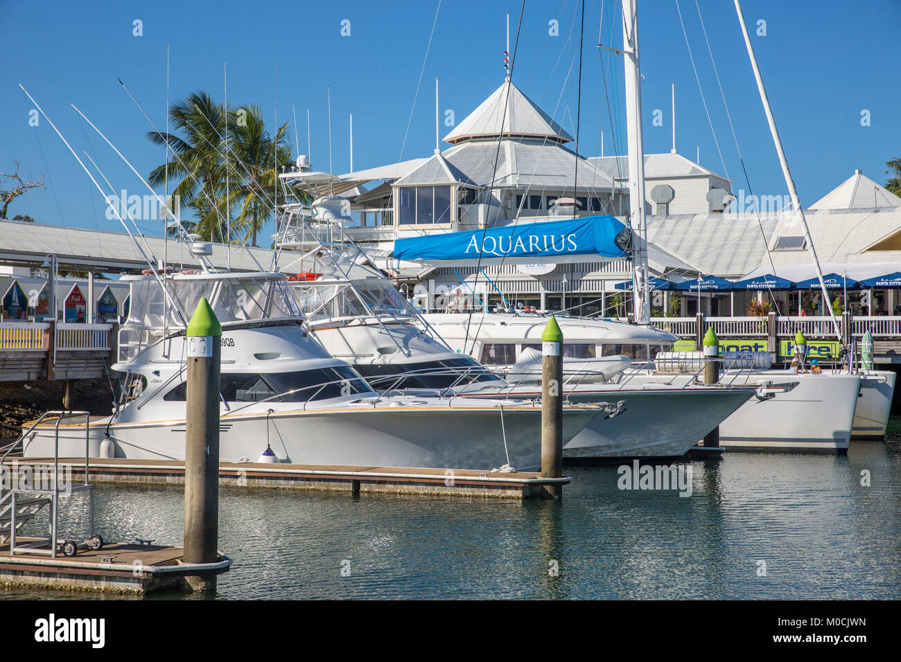 Boote in Port Douglas Reef Marina, Far North Queensland, Australien Stockfoto