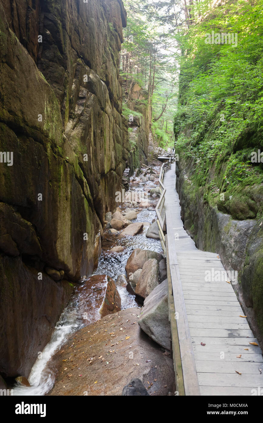 Flume Gorge in Franconia Notch State Park Stockfoto