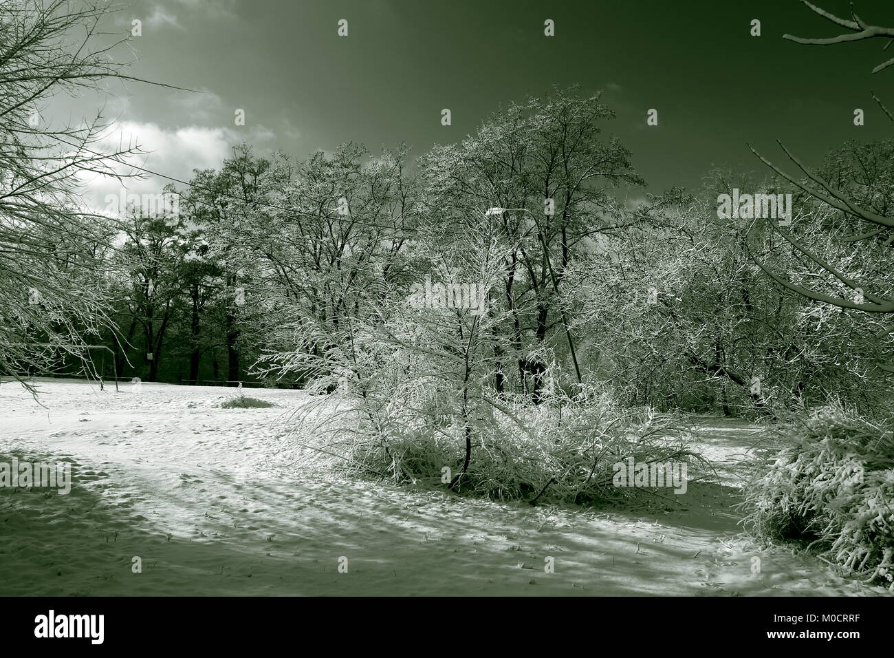Winter in Sepia. Stockfoto