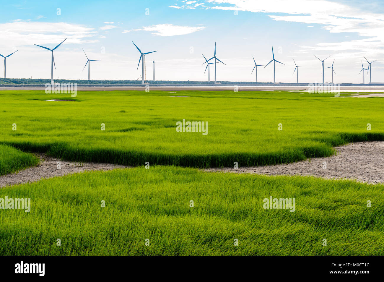 Sillouette von Wind Turbine array an Gaomei Feuchtgebiet Stockfoto
