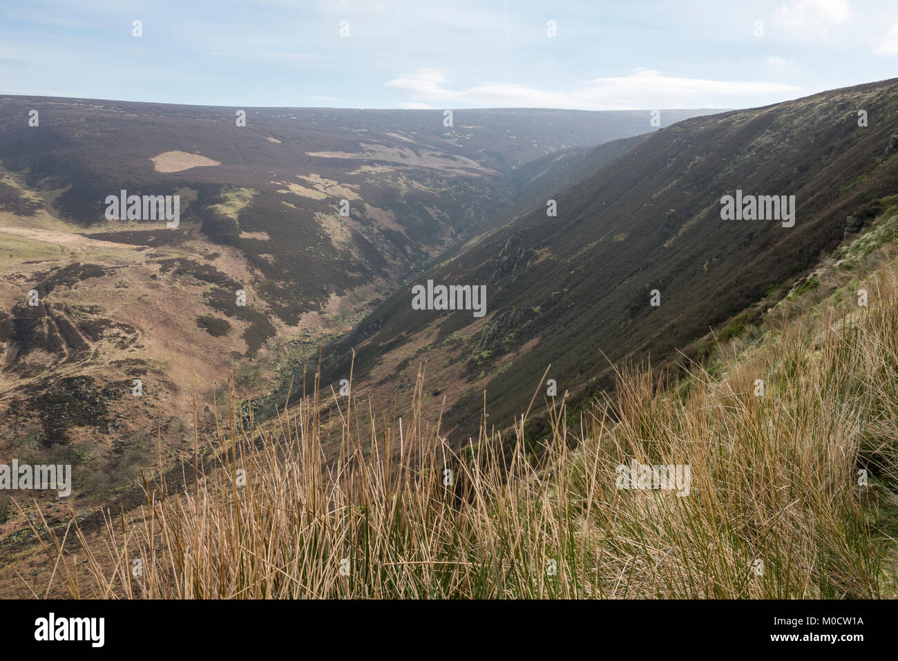Der Pennine Way an torside Clough Position auf die Mauren an Bleaklow, Peak District, Derbyshire, England. Stockfoto