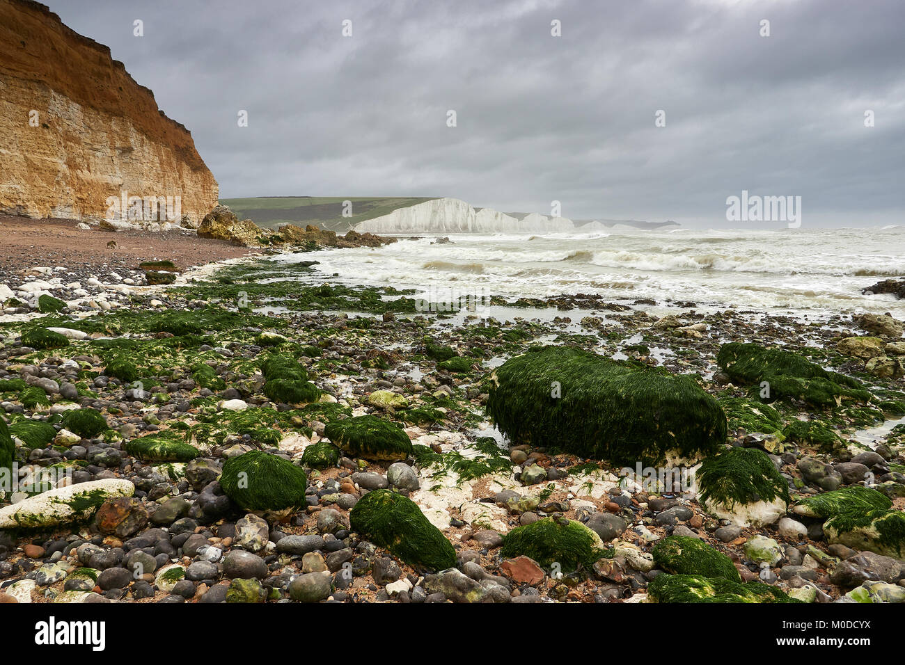 Cuckmere Haven, Sussex. Die Erosion der Küsten ändert sich schnell die alten, legendären weißen Klippen auf Großbritanniens Sussex Küste. Stockfoto