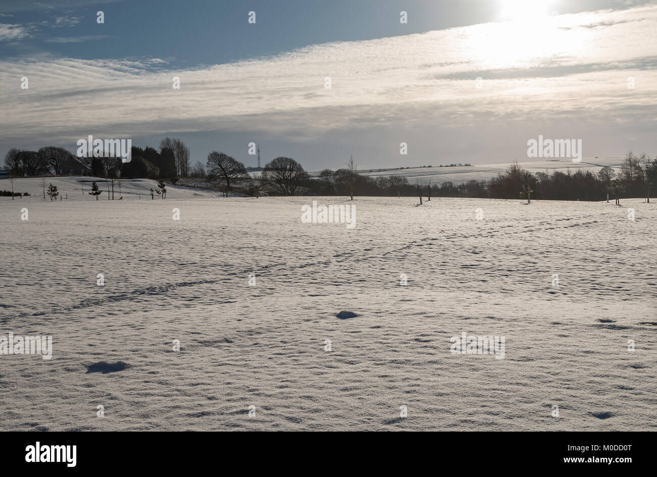 Whickham Golf Cub 4 Fahrrinne im Schnee Stockfoto