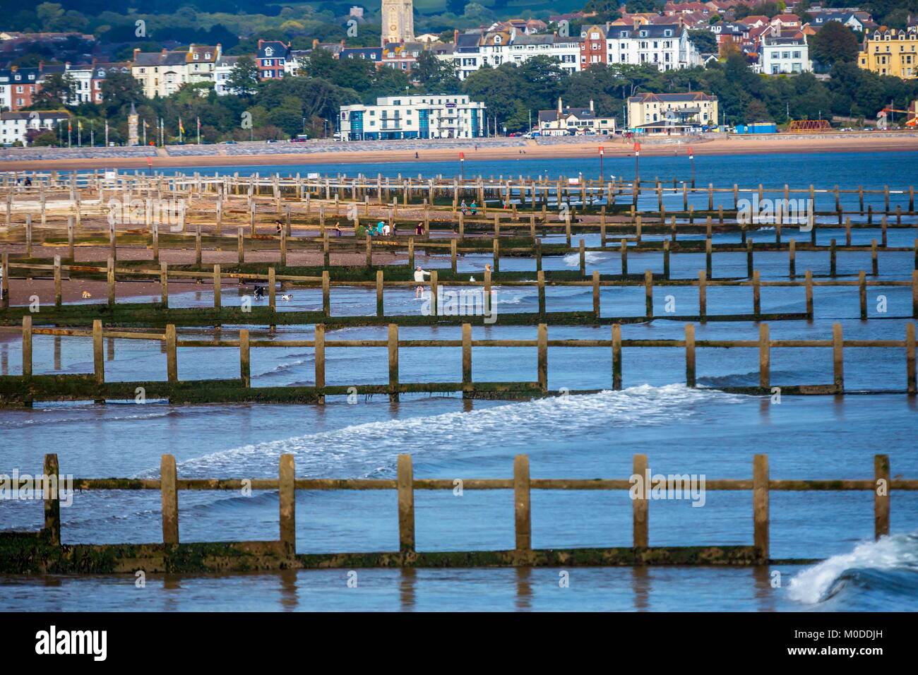 Künstlichen Strand und Ufer leisten Schutz der englischen Küste in Devon. Stockfoto
