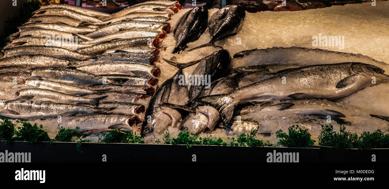 Fang (Fisch) der Tag an der Pike Street Market, SeattleWashington Stockfoto