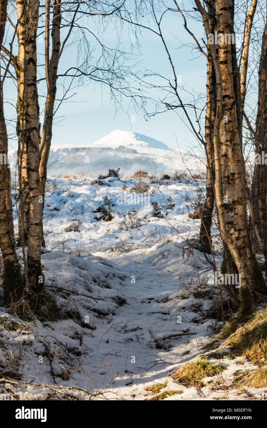 Ben Ledi im Winter, Schottland, Großbritannien – gesehen von Flanders Moss, Carse of Stirling, Schottland, Großbritannien Stockfoto