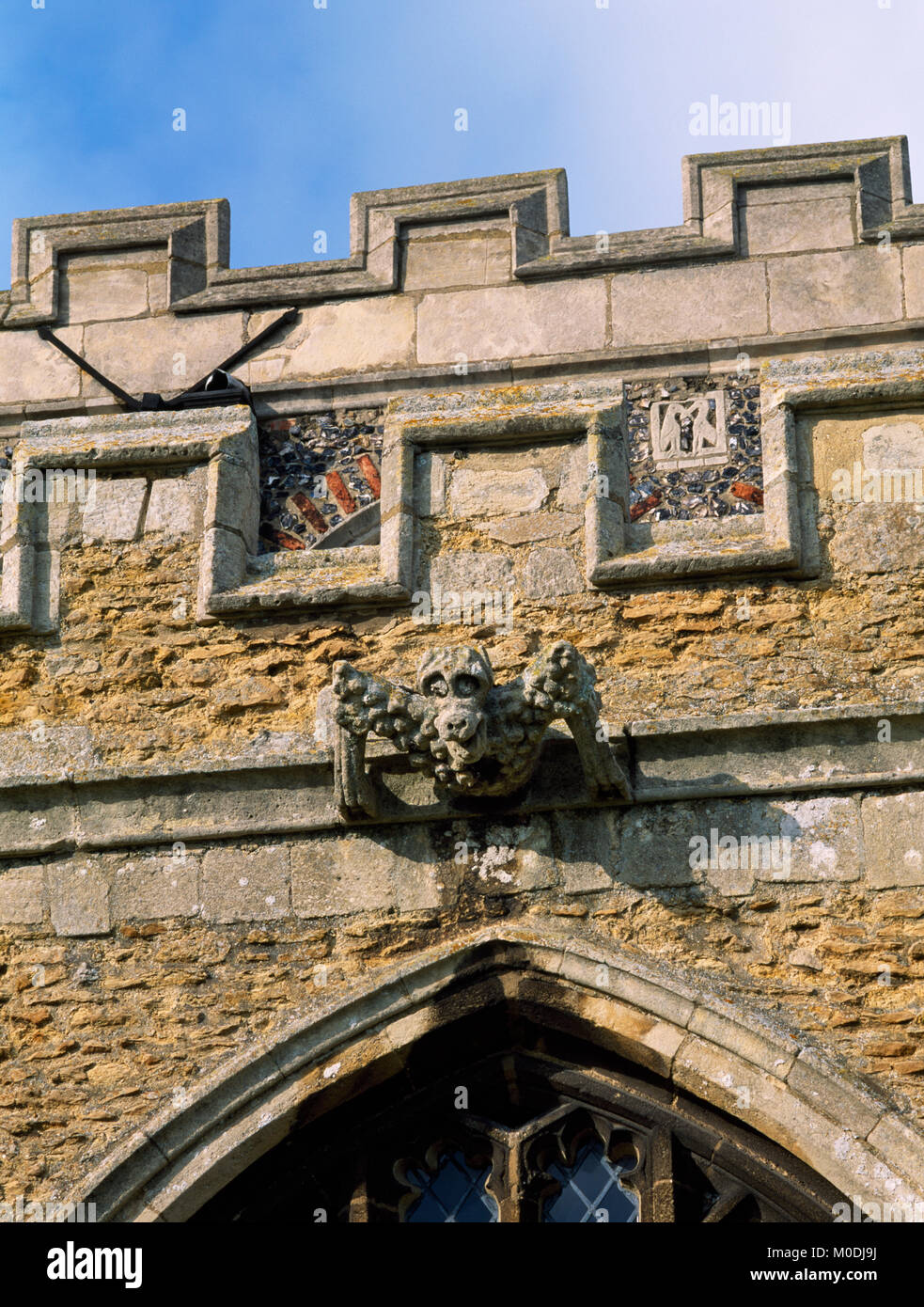 Gargoyle auf 15. Jahrhundert südlichen Seitenschiff, dekoriert mit Panel von zwei pelikane hinter auf clerestory des Kirchenschiffs. März Kirche, Cambridgeshire, England, Stockfoto