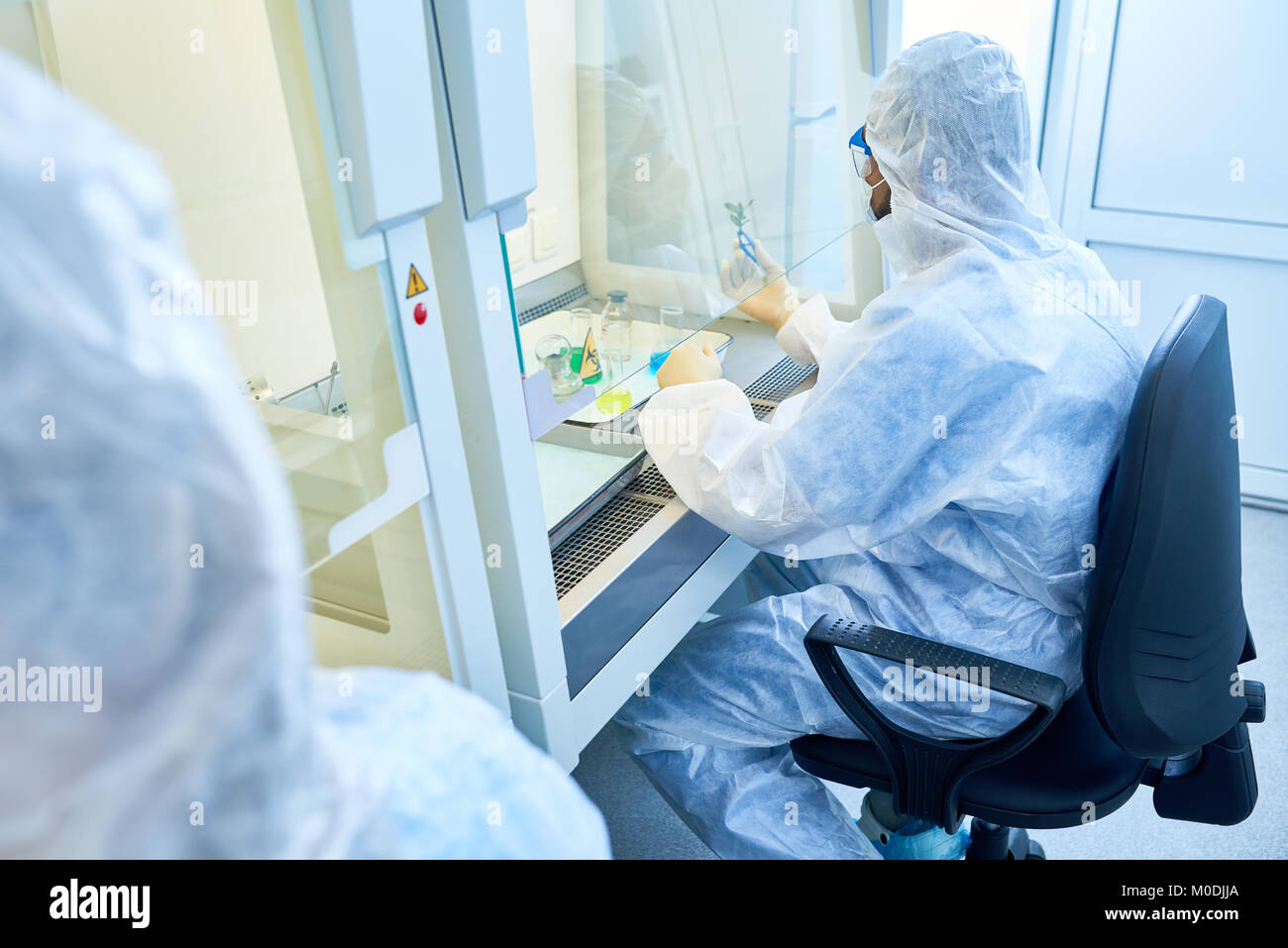 Wissenschaftler arbeiten mit gefährlichen Substanz Stockfoto