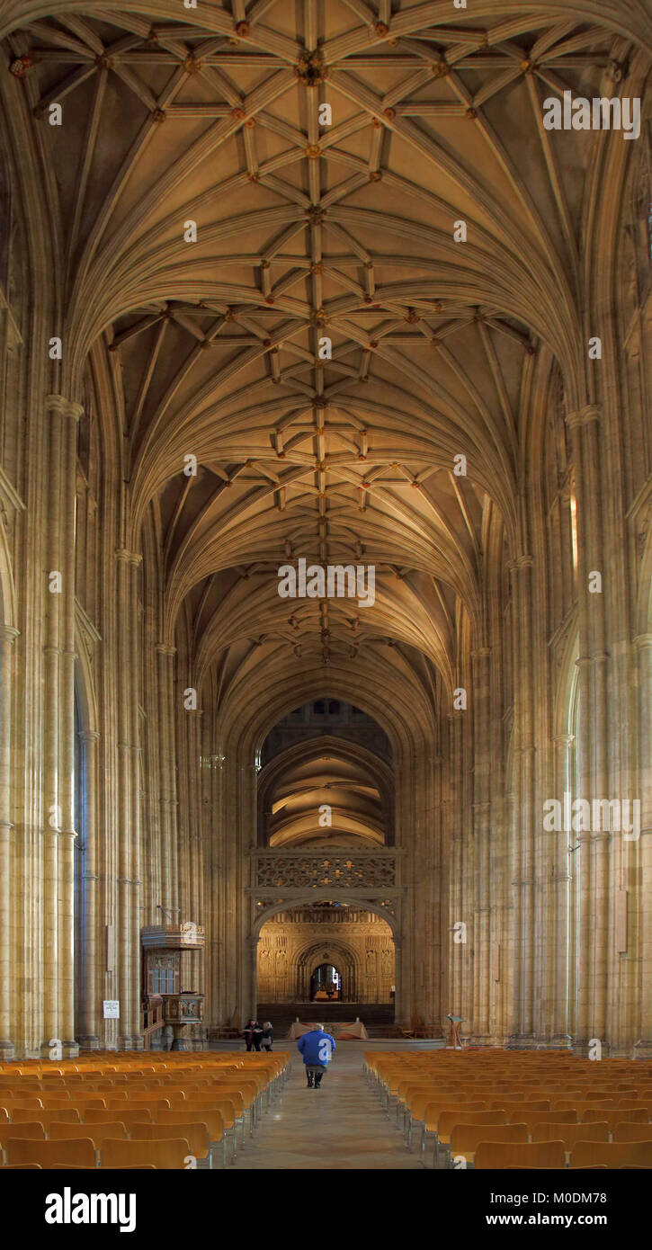 gewölbten Dach innen Canterbury Kathedrale kent Stockfoto