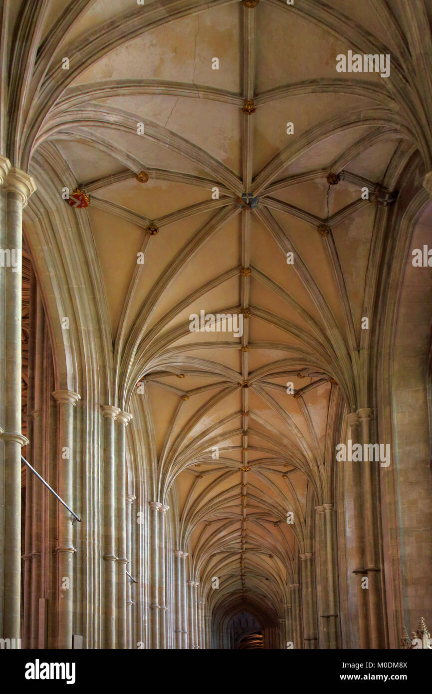 gewölbten Dach innen Canterbury Kathedrale kent Stockfoto