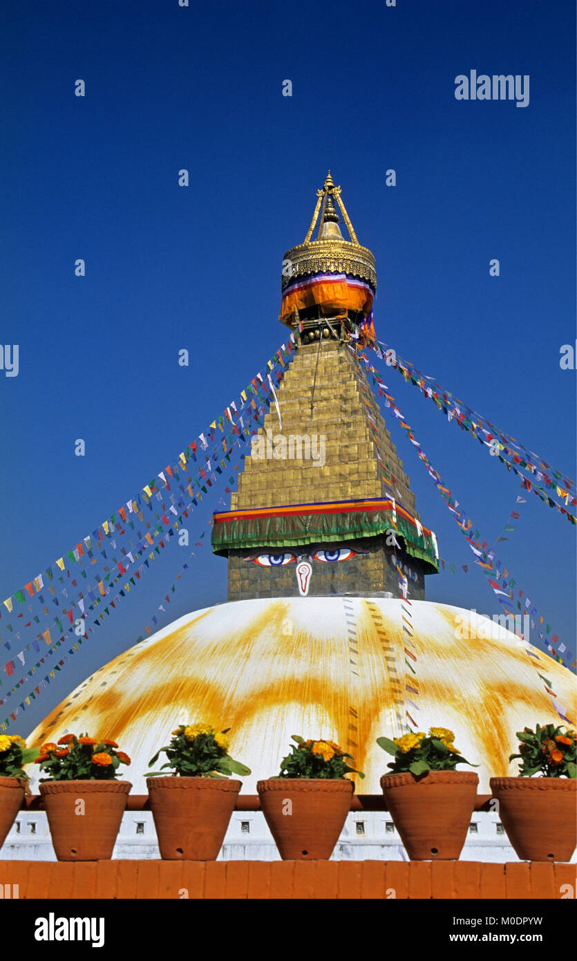 Nepal. Kathmandu, Bodnath Tempel, Stupa (Buddhismus) und Blumentöpfe mit Blumen. Stockfoto