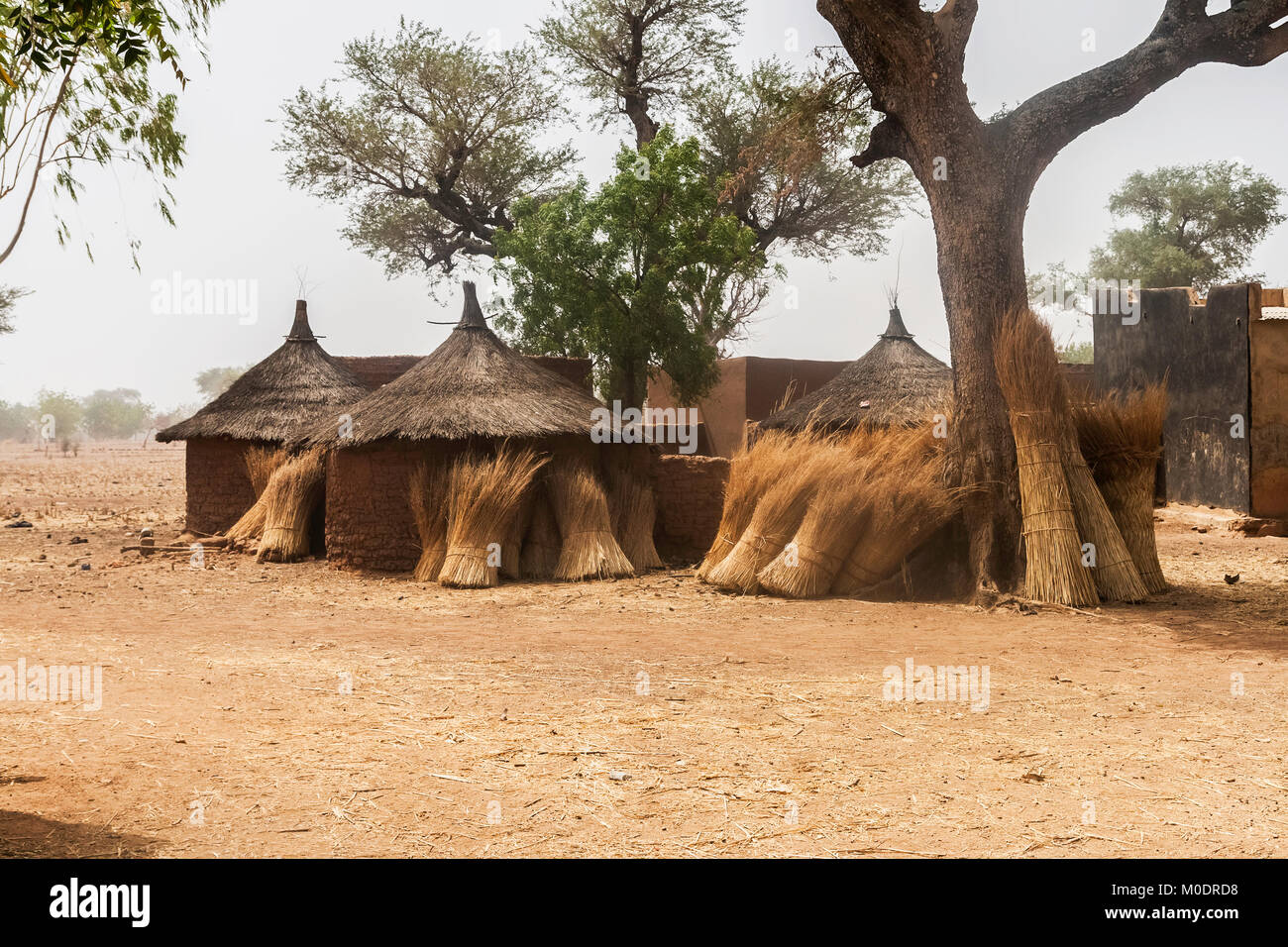 Urige Hütten in einem mosi Dorf in Burkina Faso mit einige Pakete ihrer kreisförmigen Mauern Stroh. Stockfoto