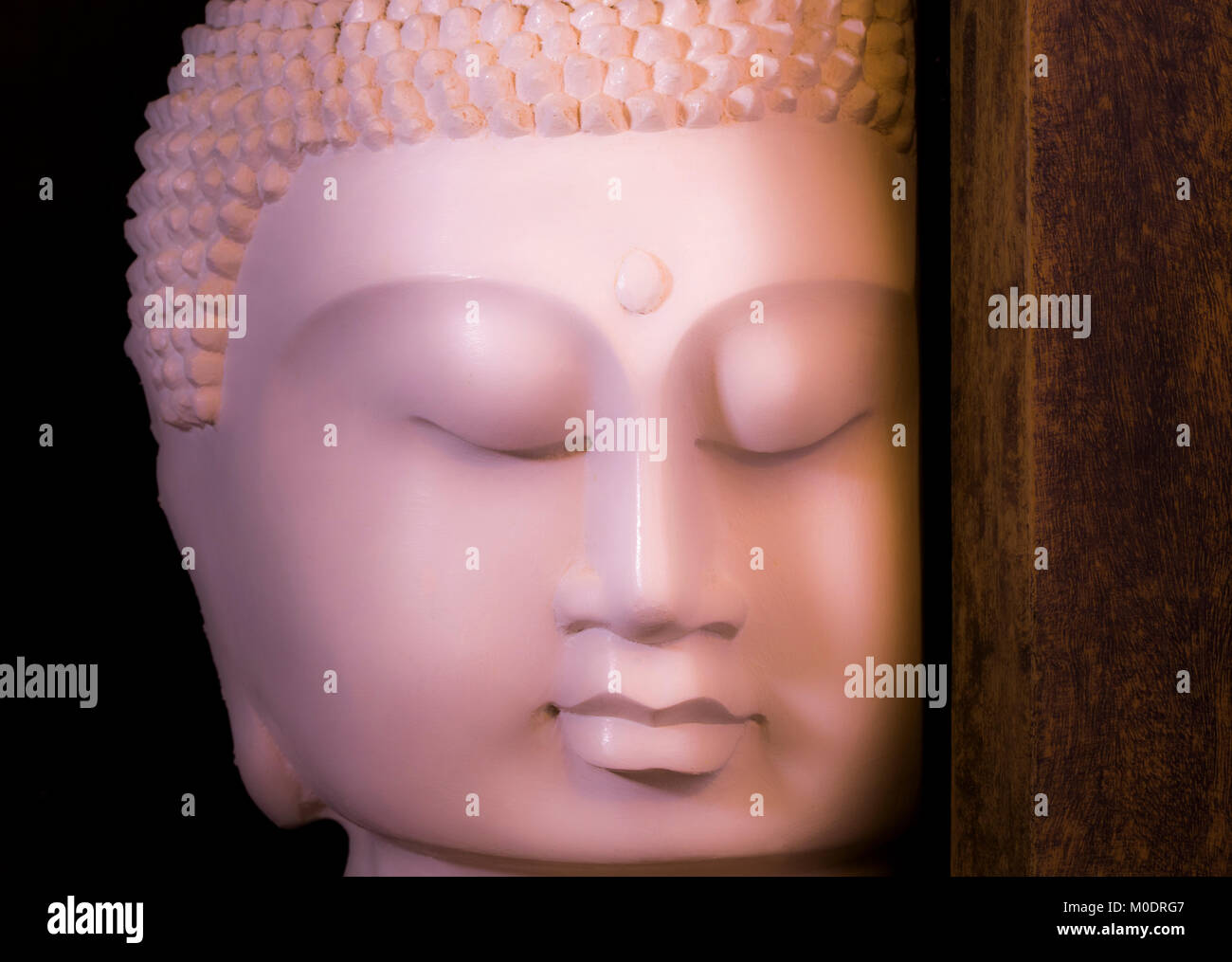 Eine schöne, lebendige Buddha Kopf Ornament auf dem Bildschirm mit realistischen Gesichtszüge und die Augen geschlossen, als ob in der Kontemplation. Die aus Gips angefertigt. Stockfoto