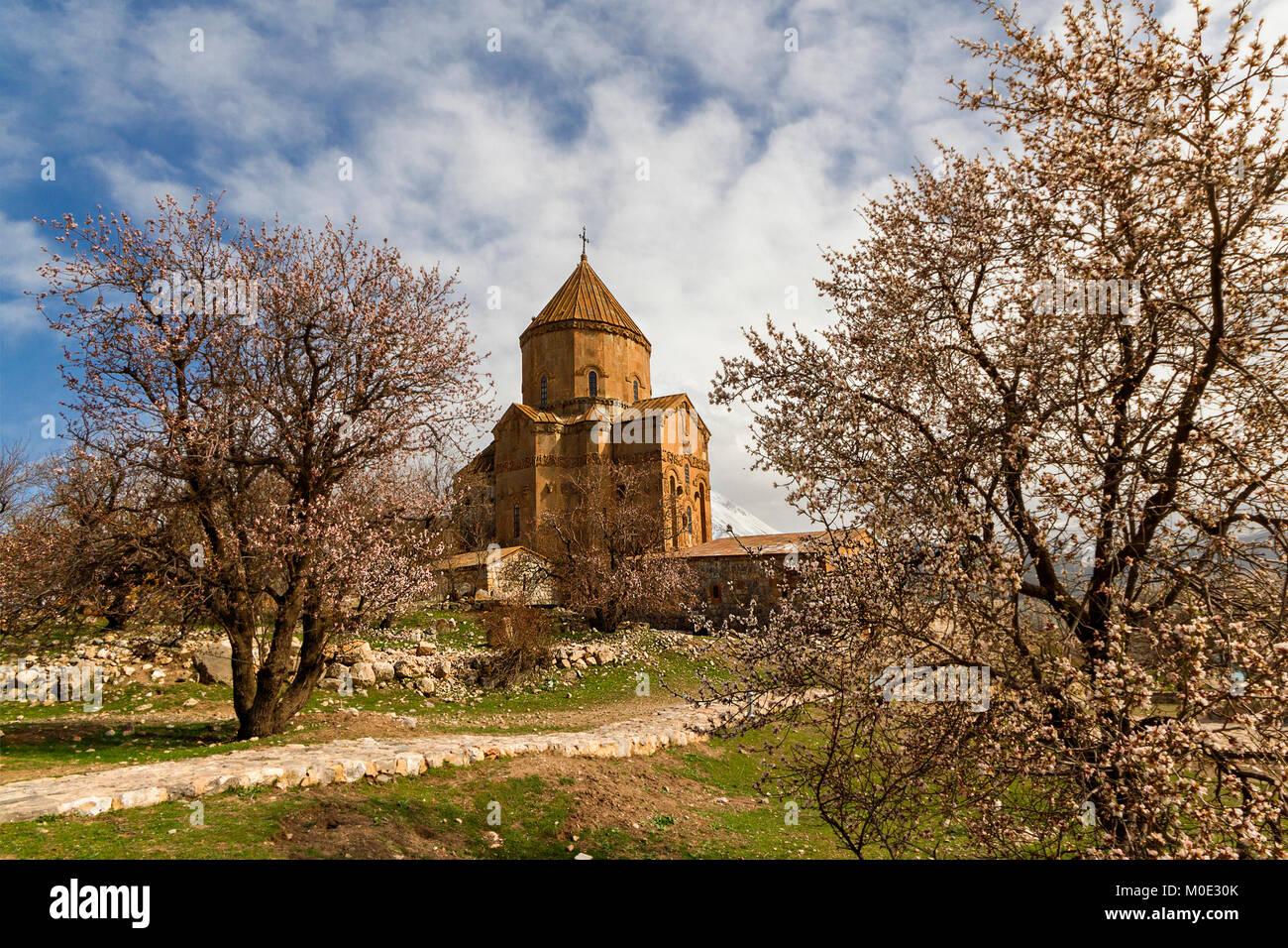 Der armenischen Kirche des Heiligen Kreuzes auf Akhtamar Insel, See Van, Türkei und Mandelbäume blühen. Stockfoto