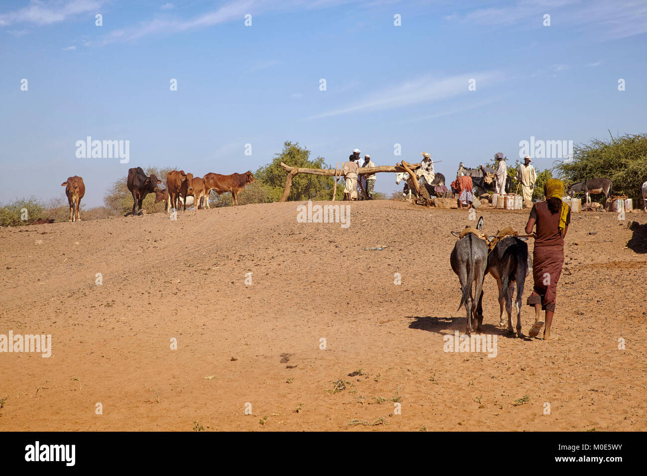 Die Leute holen Wasser aus einem Brunnen mit einem Esel in der Nähe von Naqa, Sudan (Sudan), Afrika Stockfoto