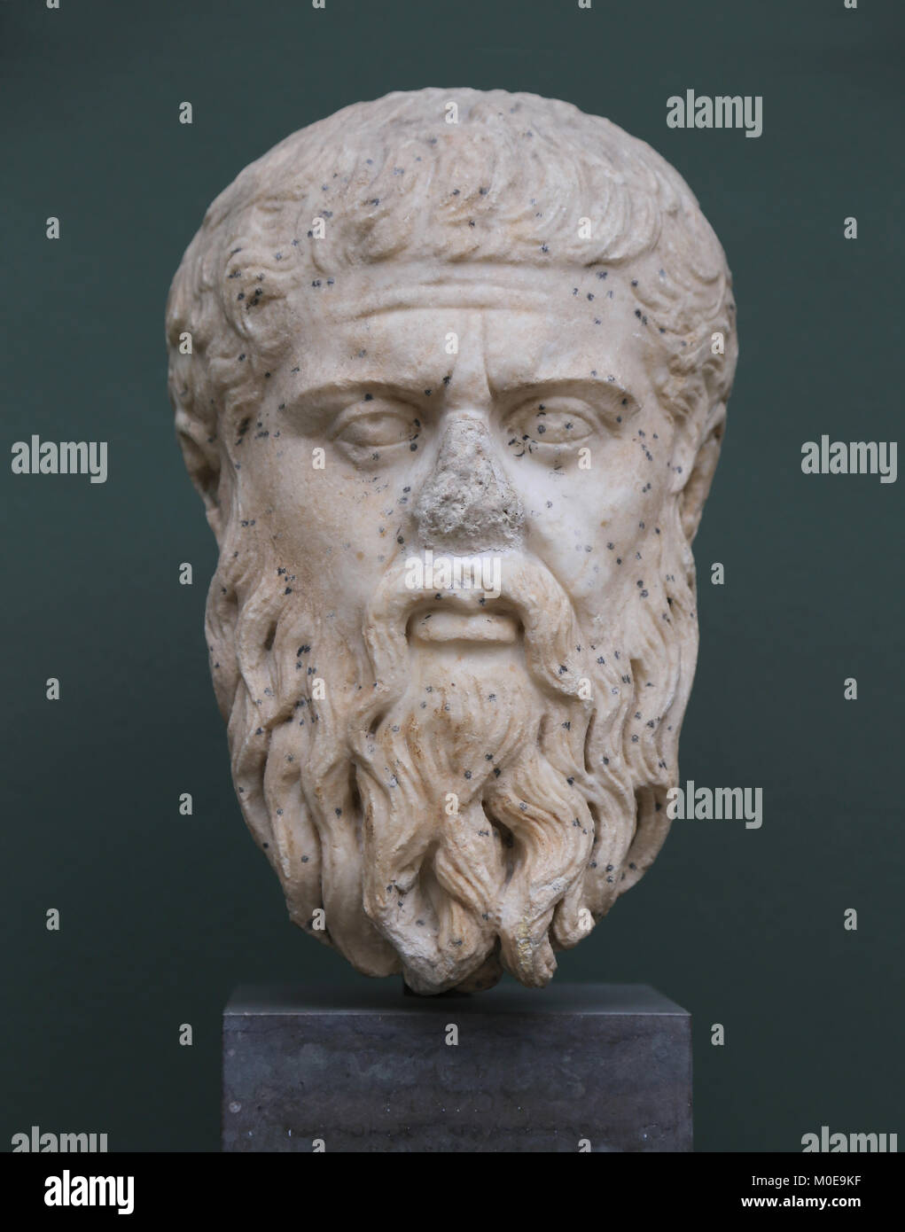 Der Philosoph Platon (428-348 v. Chr.) Kopf hoch, Marmor. Römische Kopie der griechischen Original. 4. vorchristlichen Jahrhundert. Stockfoto