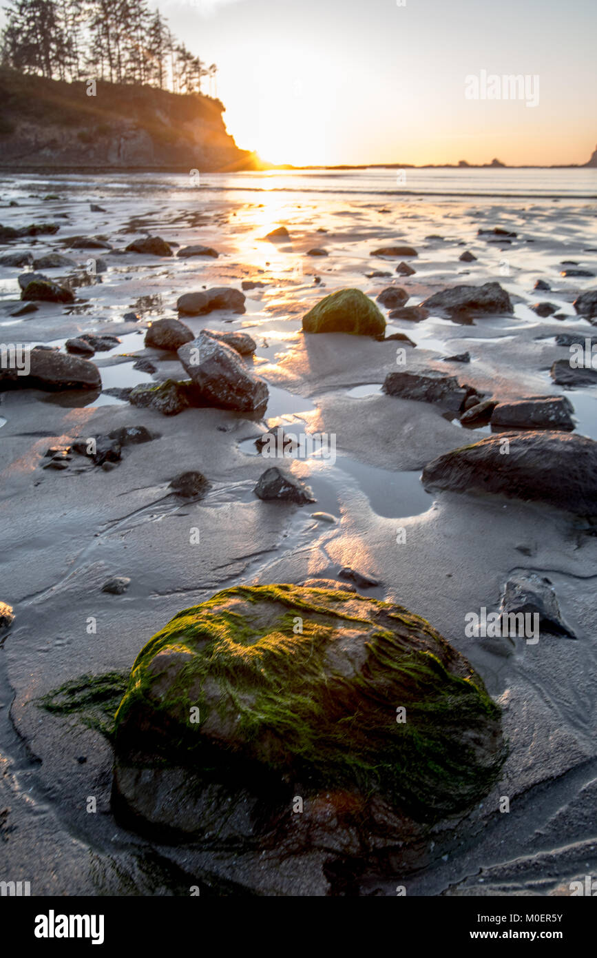 Sun Set Leuchtet über Felsen bei Ebbe auf Oregon Beach Stockfoto