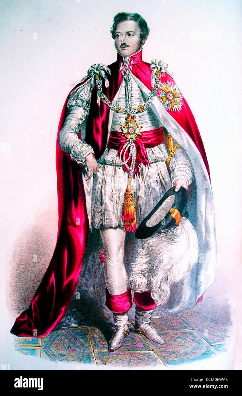 Knight Grand Cross des Ordens der Badewanne - Prinz Albert, Prinzgemahl, tragen der Robe eines Knight Grand Cross des Ordens der Badewanne - ca. 1842 Stockfoto
