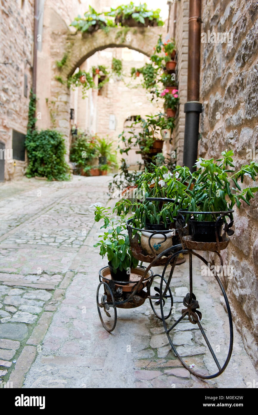 Spello, Perugia, Umbrien, das grüne Herz Italiens. Vintage Bike mit mit Pflanzen in einer Gasse, die typisch für das Zentrum von Spello, berühmt für blumige Gassen Stockfoto