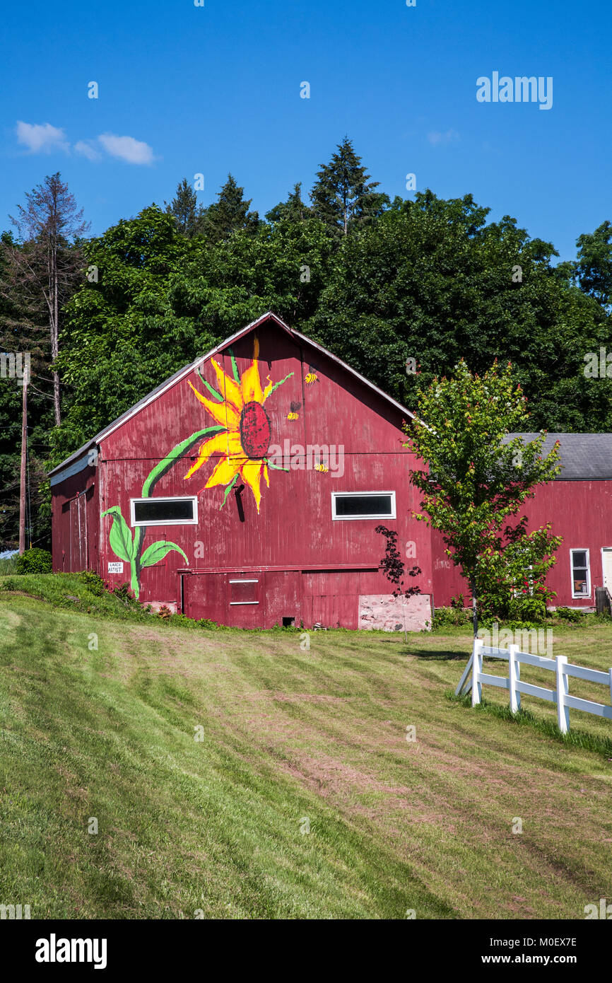 Alte rote Scheune mit einer handbemalten Sonnenblume, Rochester, New York, USA, vertikale Farmszene amerikanische Landwirtschaft rote Scheunen, amerikanische Scheune NY Stockfoto