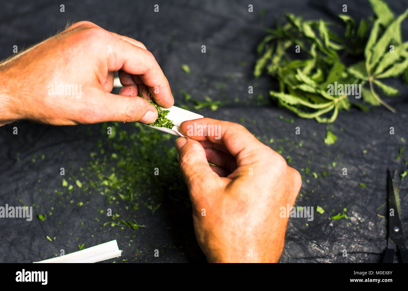 Hände wickeln Marihuana gemeinsame erste Person anzeigen Stockfoto