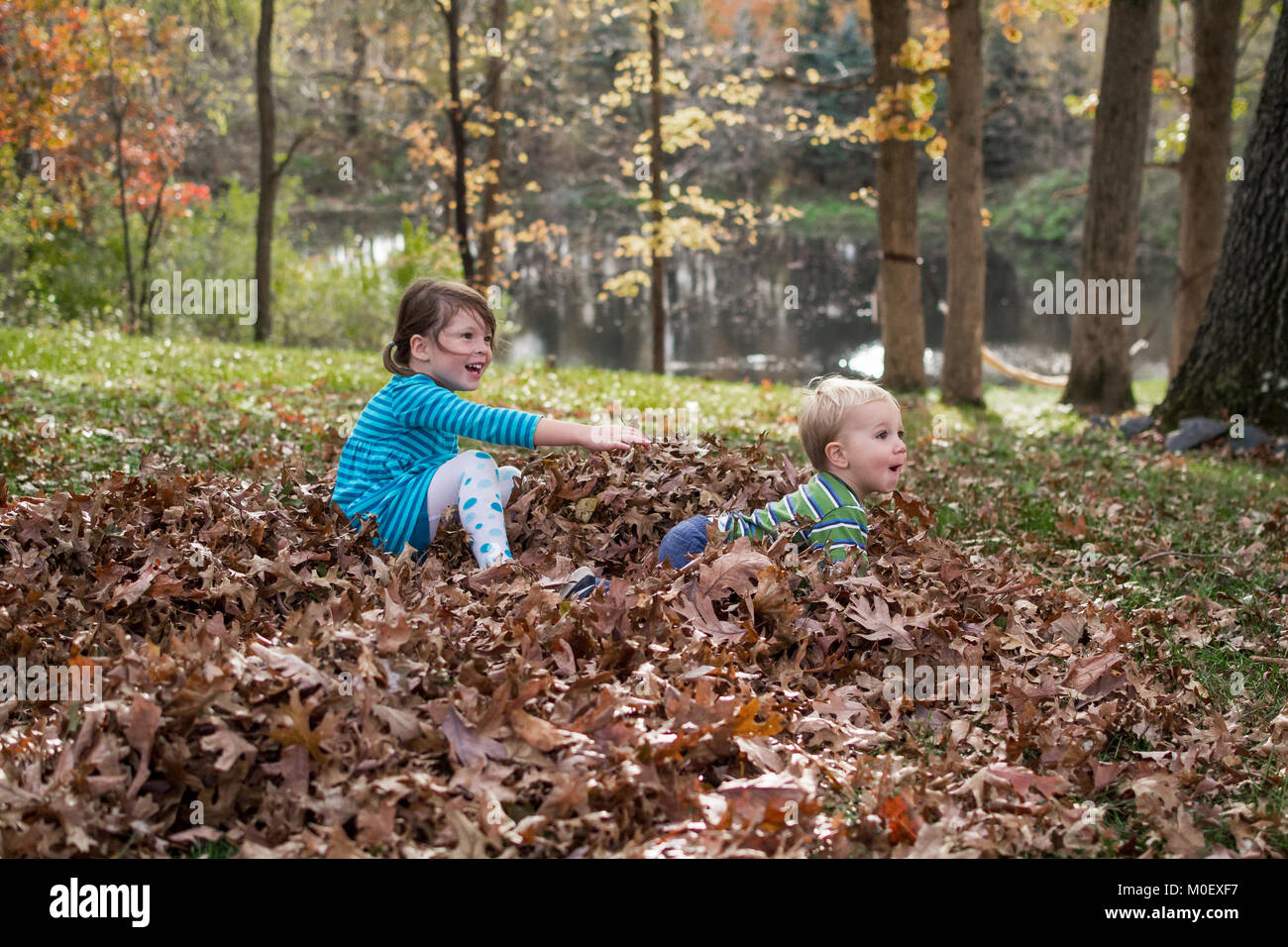 Mädchen und ihr Kleinkind Bruder spielen im Herbst Blätter Stockfoto