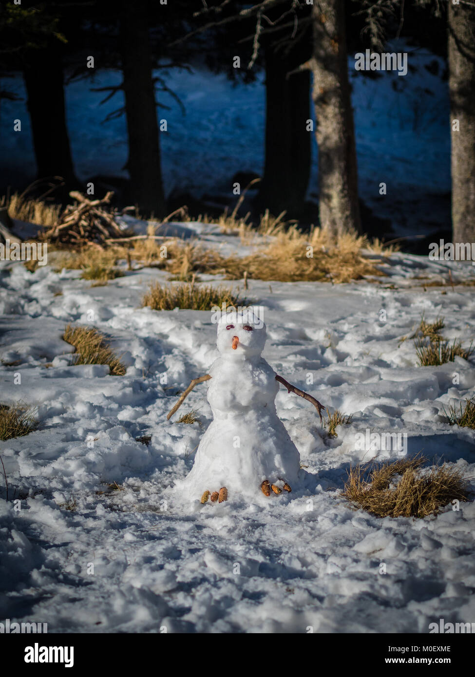 Schneemann im Wald, Vitosha, Bulgariens Stockfoto