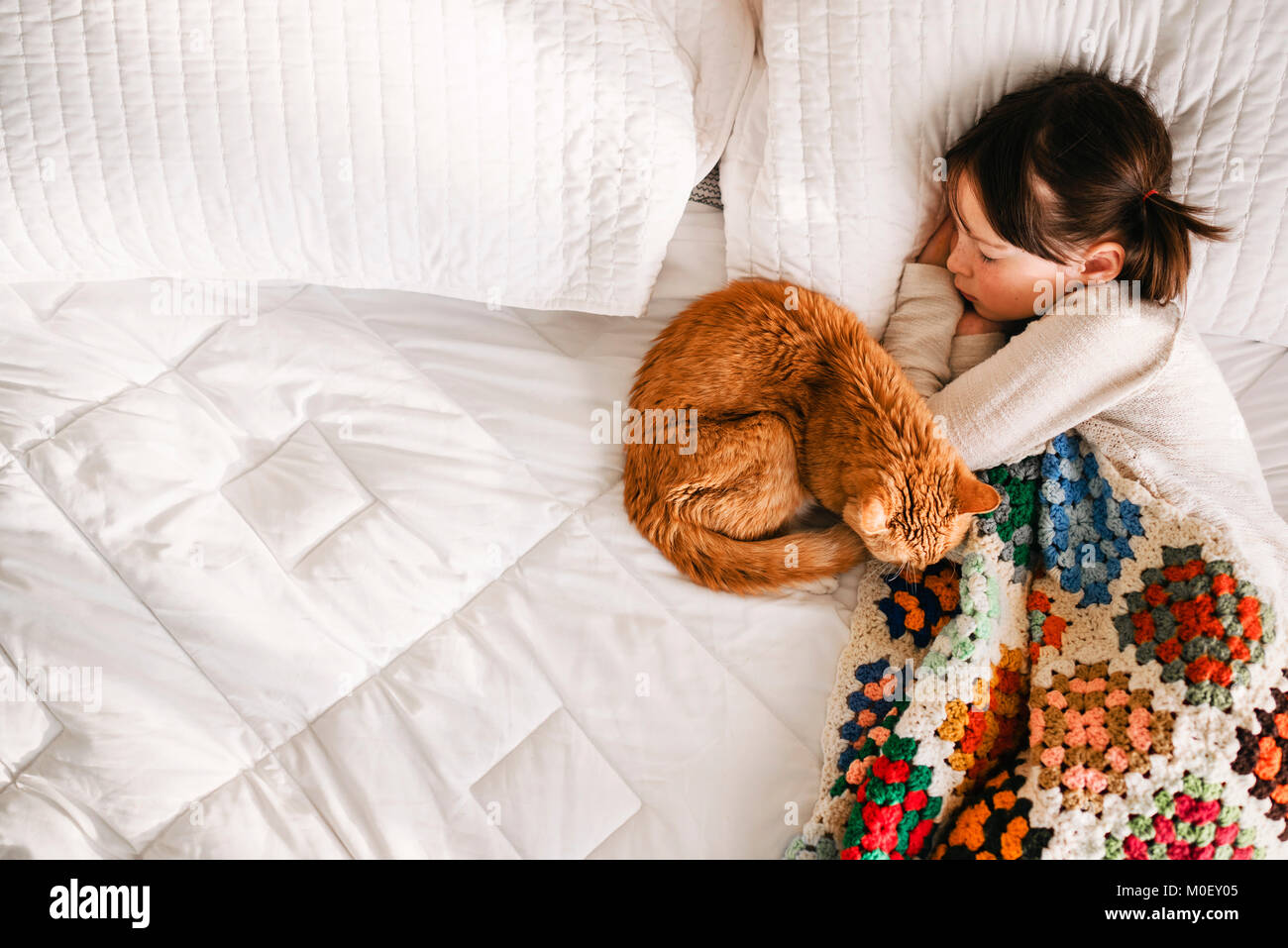 Mädchen in ein Nickerchen auf einem Bett mit ihrer Katze Stockfoto