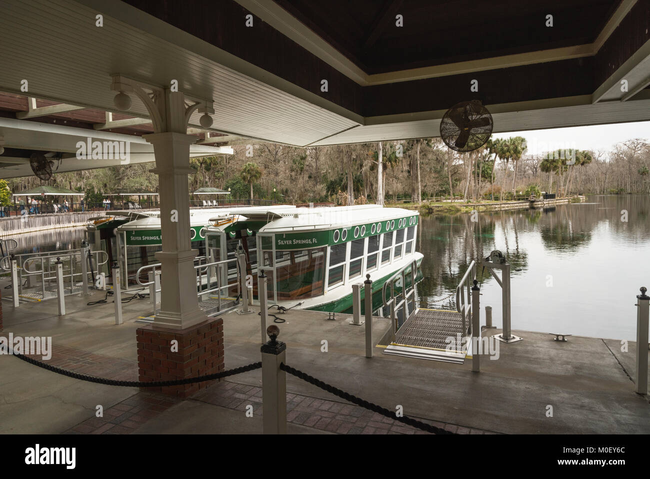 Silver Springs Ocala, Florida State Park USA Stockfoto