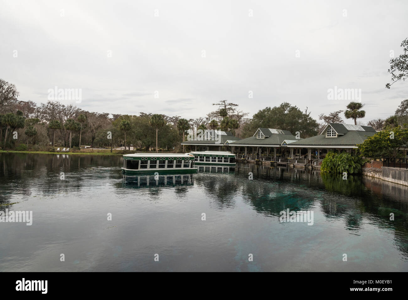 Silver Springs Ocala, Florida State Park USA Stockfoto