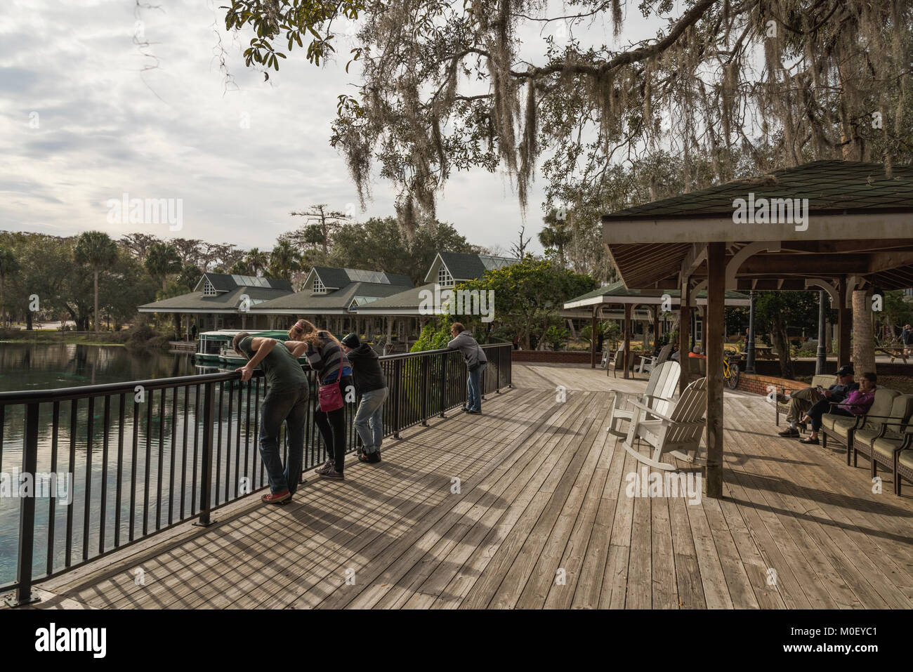 Silver Springs Ocala, Florida State Park USA Stockfoto