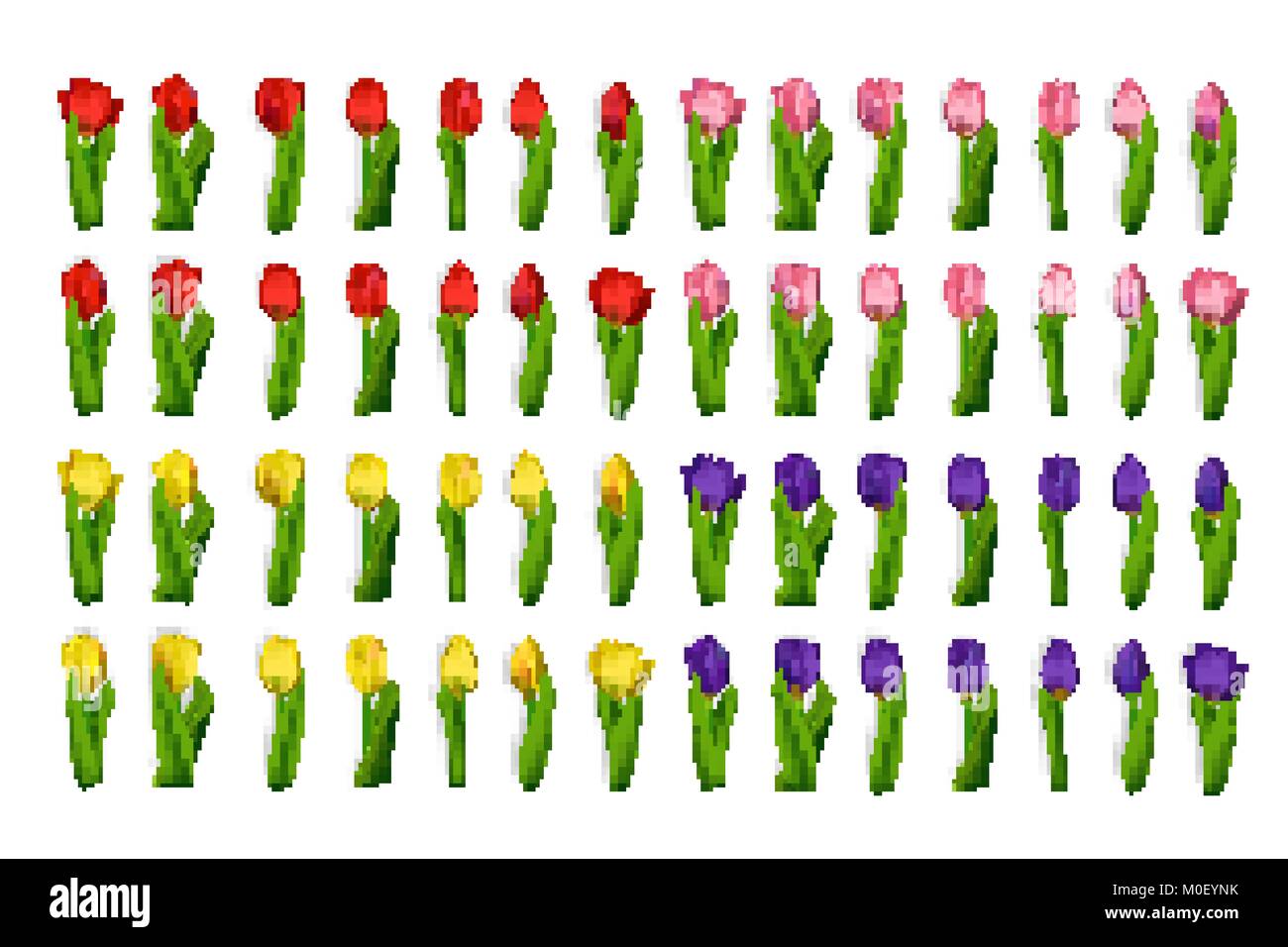 Realistische Tulpen grosse Blumen gesetzt Stock Vektor