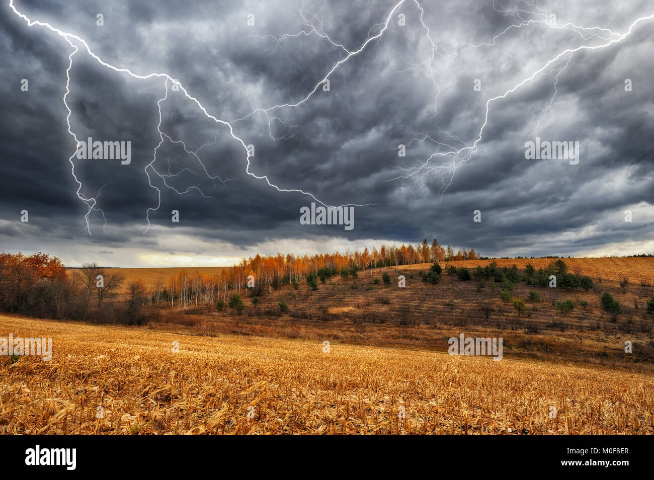 Thunder Himmel. Blitz am Himmel dunkle Wolken Stockfoto