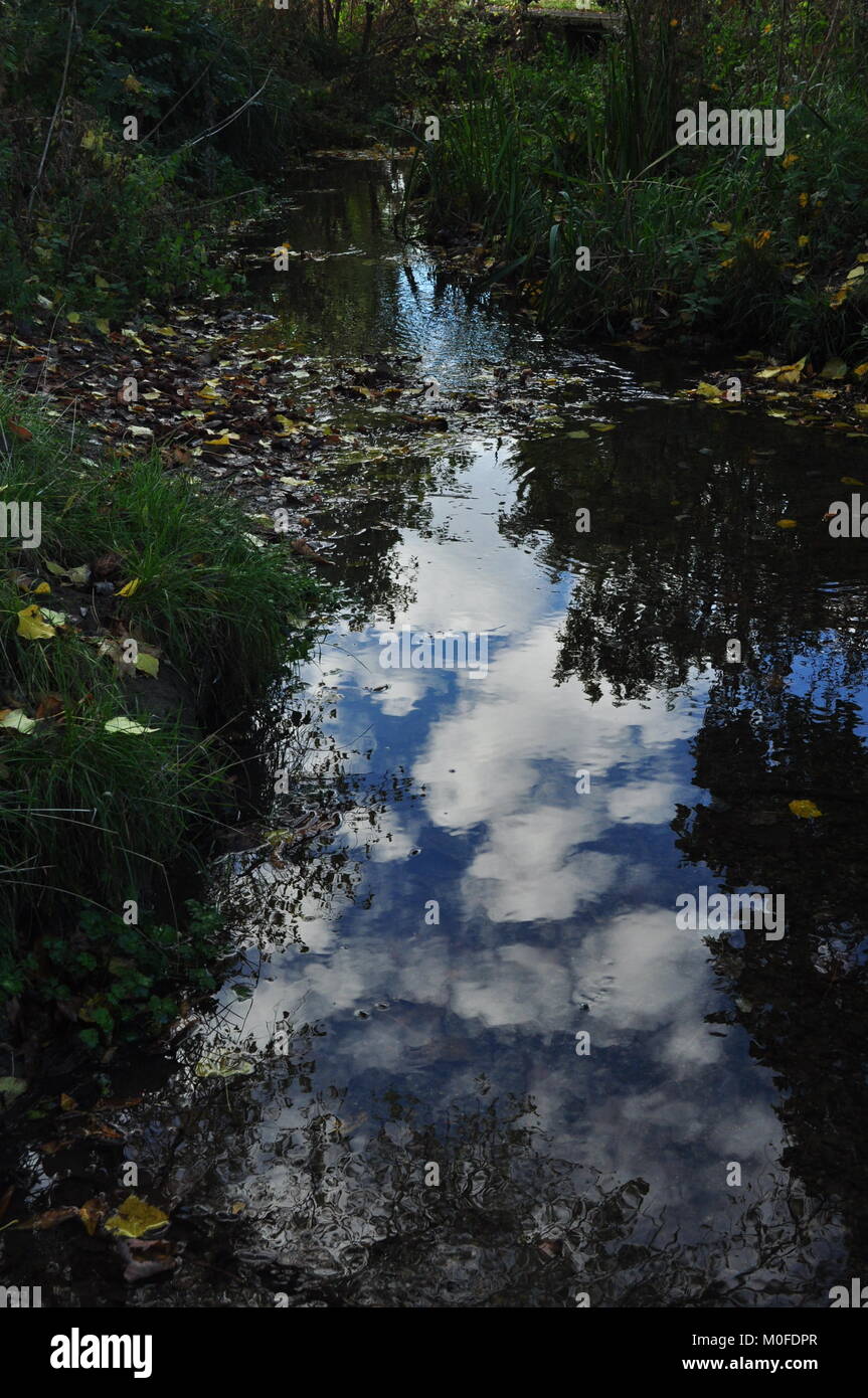 Bewölkt Reflexion in Cheltenham Pittville Park Stockfoto