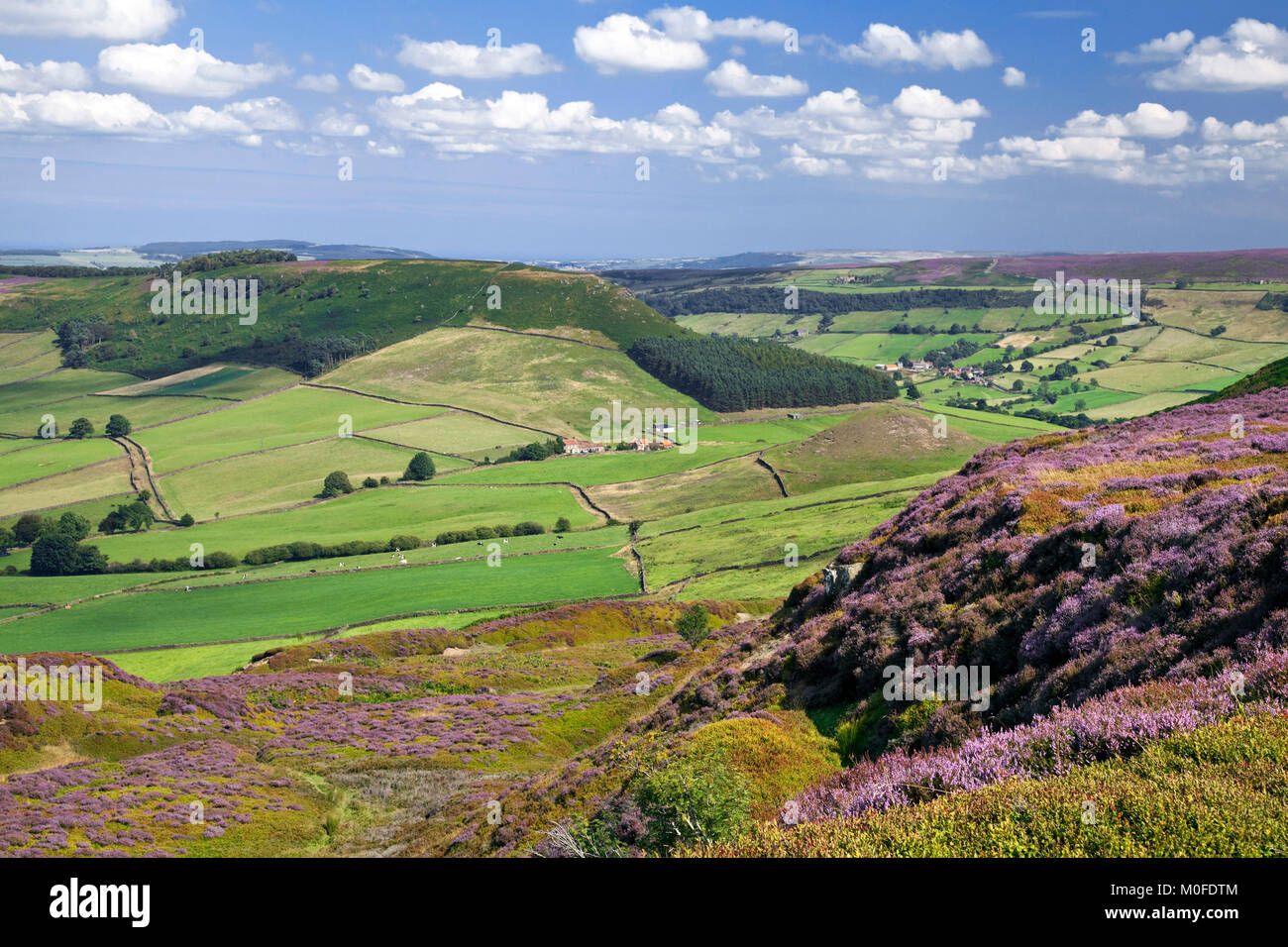 Köpfe, zwischen Großen und Kleinen Fryup North York Moors National Park North Yorkshire Stockfoto