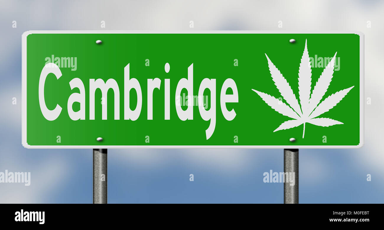 Eine 3D Rendering eines grünen Hinweisschild mit Marihuana Blatt Stockfoto