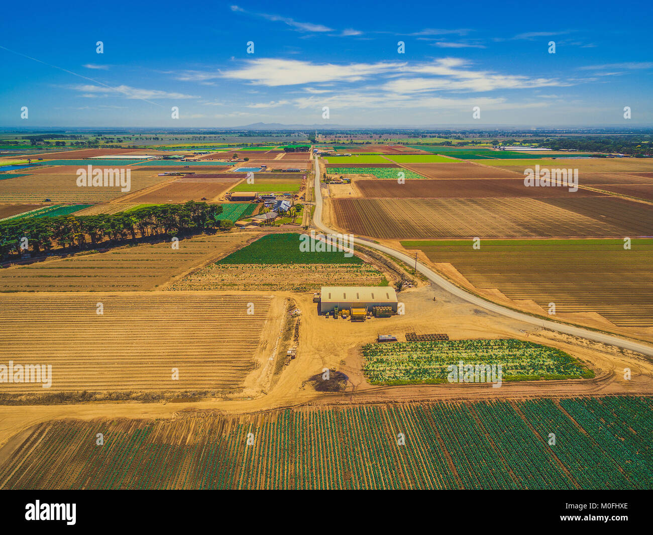 Schöne Luftaufnahme von landwirtschaftlichen Flächen auf hellen Sommertag in Werribee South, Victoria, Australien Stockfoto