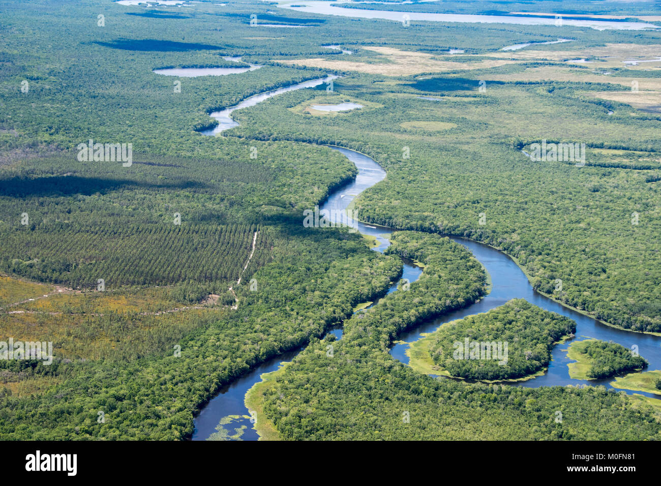 Fluss schlängelt sich durch die Küste Floridas Sümpfe Stockfoto
