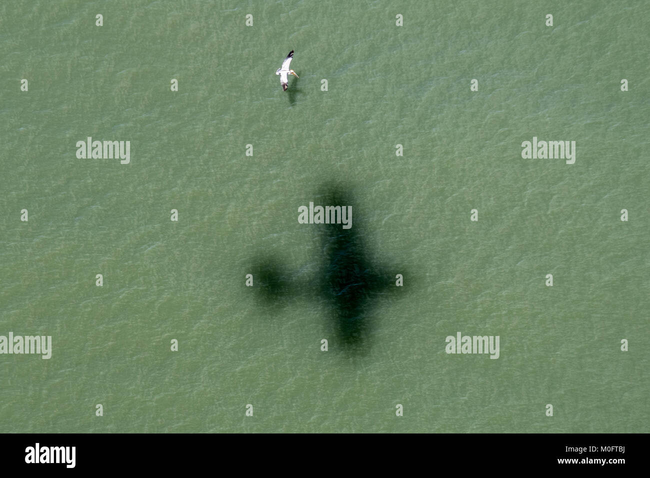 Schatten des Wasserflugzeug schwebt Neben Kran über Meer fliegen, South Carolina Stockfoto