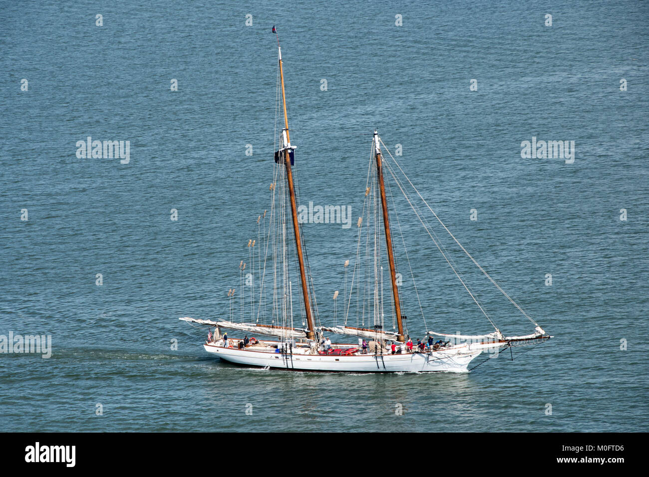 Segelboot gleitet entlang in den atlantischen Gewässern an der Küste von South Carolina Stockfoto